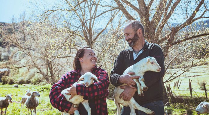 La Ferme Terrios une histoire de famille, de passion et d’engagement