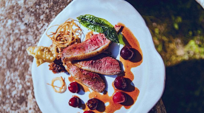 Le canard aux cerises, par Jean PLOUZENNEC