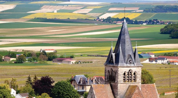Bienvenue en Champagne, la cuisine champenoise