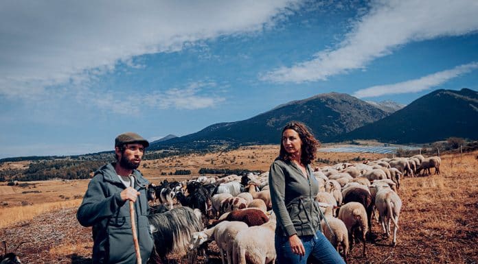 Au Cœur des Pyrénées, l’aventure pastorale de Laëtitia et Antoine au Mas Cal Sol