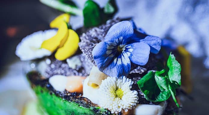 Avocado barbecue japonais mi-cuit, par Ruben GOMEZ