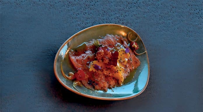 Fabrice DUBOS et son histoire