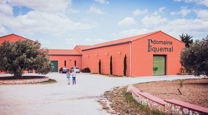 DOMAINE PIQUEMAL :  Passion et résilience