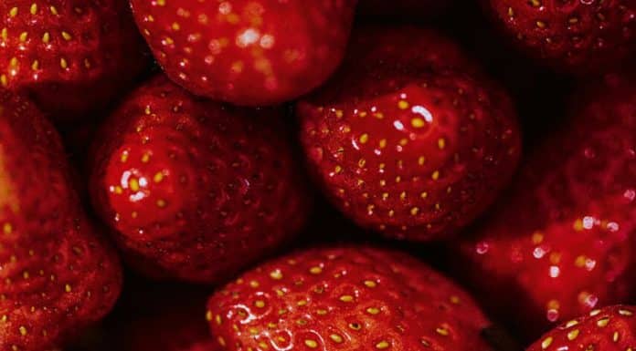 Nos producteurs : Can Bertrand, Gariguette en vedette avec le Chef Romain Thiebaud