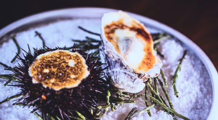 Huîtres et oursins au gratin de champagne par Jacques et Laurent Pourcel