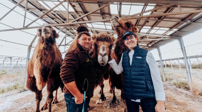 Patrice EY, aux saveurs paysannes