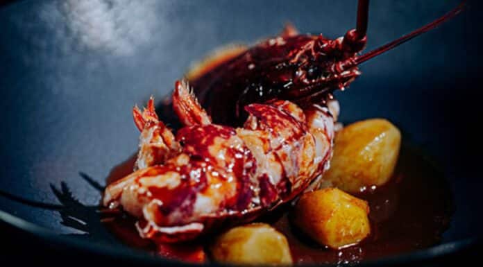 Recette : Civet de Homard par Julien Boy