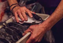 Patrimoine : Canet-en-Roussillon et les Toques Blanches s’engagent pour la cuisine Méditerranéenne