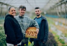 Producteurs : Les P’tites Pousses, des légumes d’exception cultivés avec passion