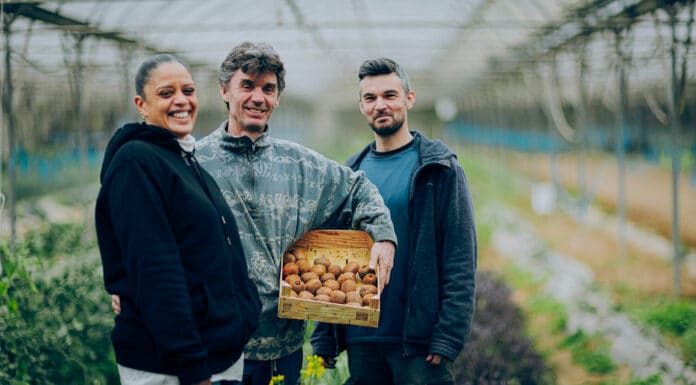 Producteurs : Les P’tites Pousses, des légumes d’exception cultivés avec passion