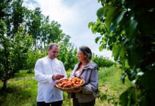Domaine Los Penedès : Bio, local, joyeusement vivant