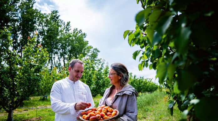 Domaine Los Penedès : Bio, local, joyeusement vivant
