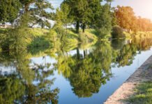 Escapade : Pause gourmande à Roanne