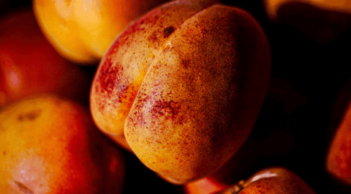 Le Rouge du Roussillon, l’abricot qui ne rougit de rien