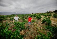 Domaine viticole : Domaine des 3 Orris