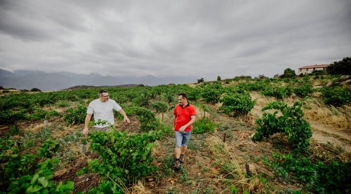 Domaine viticole : Domaine des 3 Orris