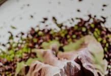 Recette : ILLUSION DE CAILLOU