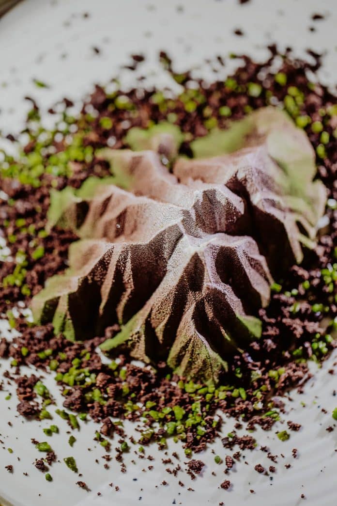 JulienBlaya_LeSenyera_TBRO12_GuilhemCANAL_10