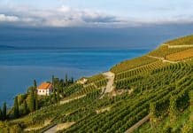 Escapade à Lausanne