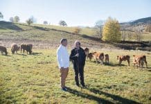 Producteur : Olivier Gaurenne, l’élevage transhumant au cœur des Pyrénées