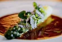 Recette : Lierre Terrestre