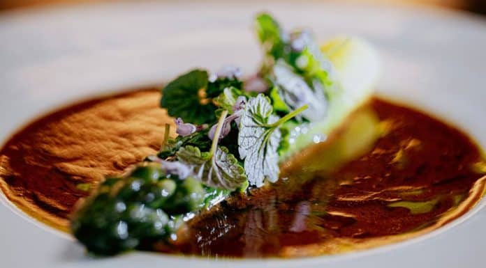 Recette : Lierre Terrestre