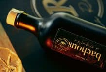 Clos Lous Bachous : l’huile d’olive signée Aurélien Potard