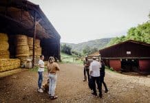 Nos producteurs : La Masou, à Prats-de-Mollo, Stéphane et Sofia font vivre le lait de brebis