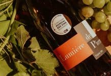 Domaine Pierre Talayrach : Au commencement, il y a la vigne